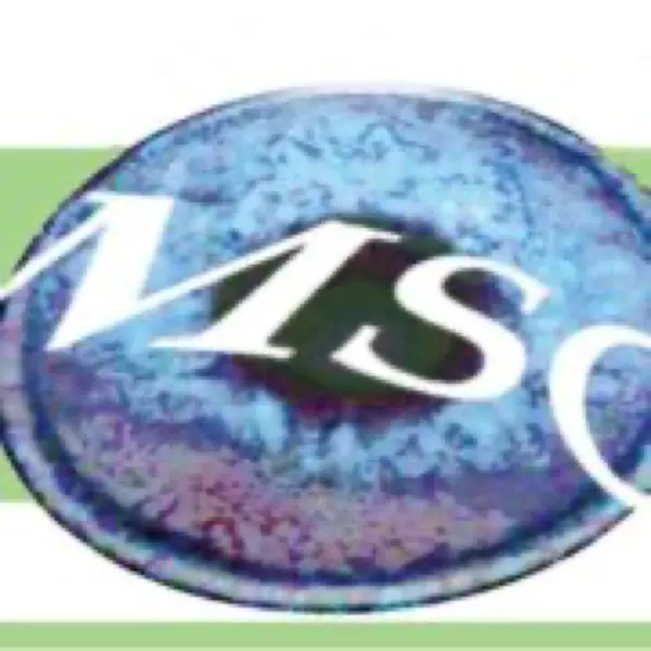 Adviesbureau MSC B.V. logo