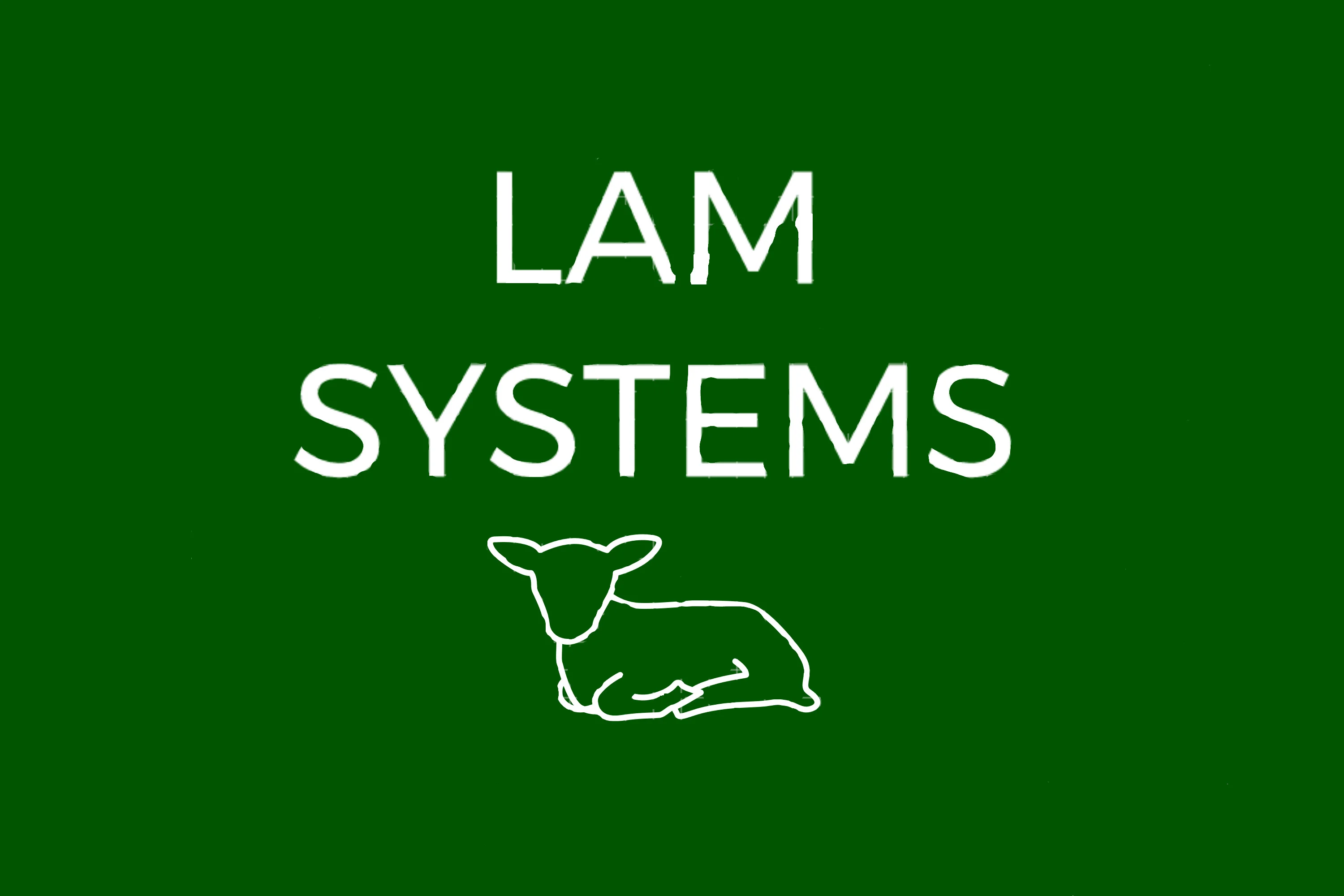 Lam Systems logo
