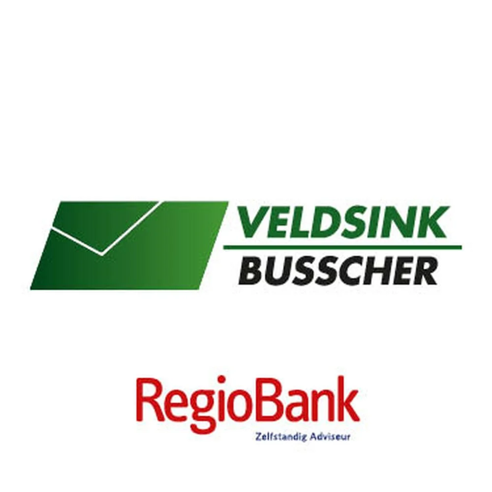 Veldsink - Busscher logo