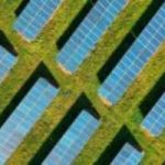 Zonnepanelen veld